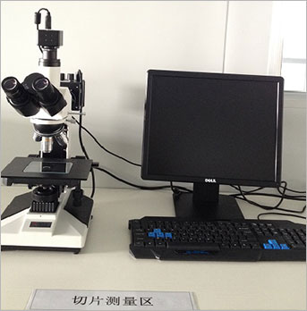 高倍顯微鏡.JPG